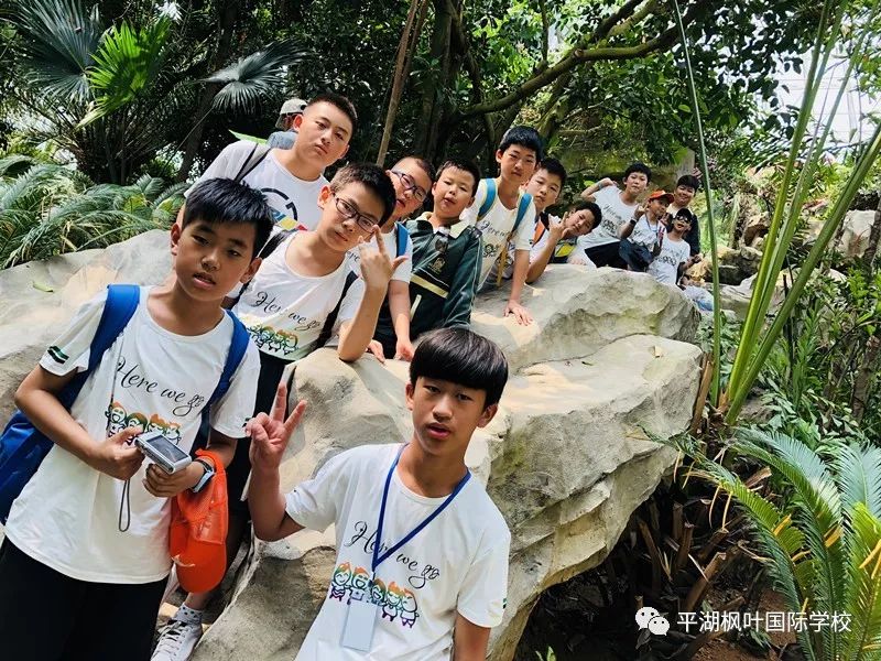 包含皖南雪豹队鏖战中原暴熊队，高尔夫巡回赛守住胜果，替补奇兵立功。轮换效果显现的词条