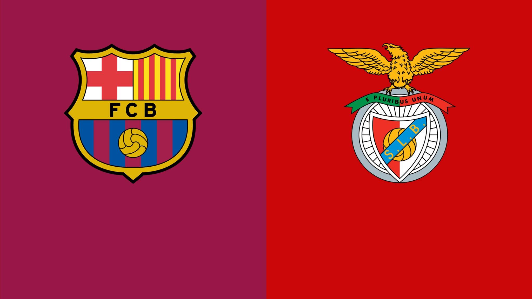 清晨本菲卡造点机会:欧冠节点到来,目标明确,球队文化再被提及的简单介绍 清晨本菲卡造点机会:欧冠节点到来,目标明确,球队文化再被提及的简单介绍